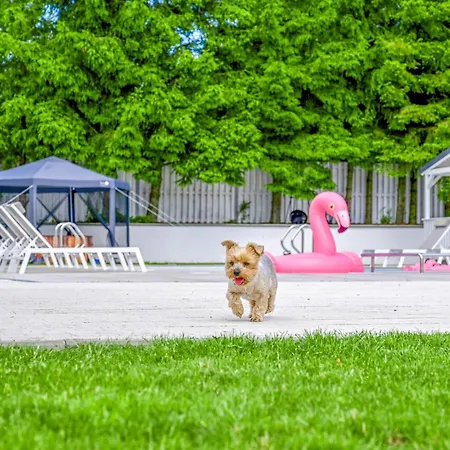 Prázdninový dům Pet Friendly In With Wifi