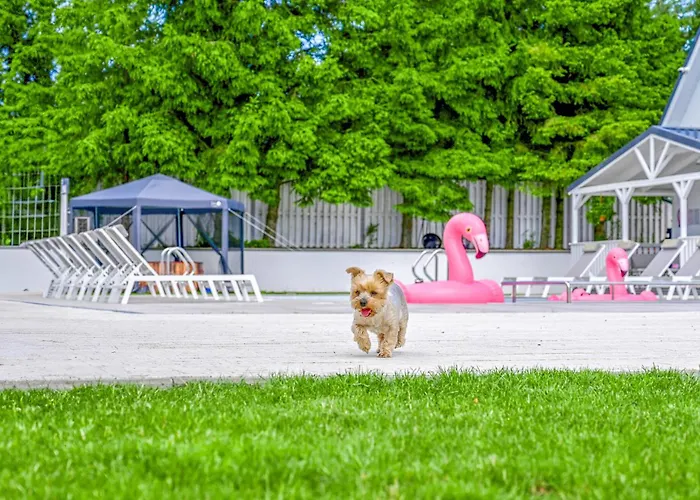 Tatil Evi 2 Bedroom Amazing In